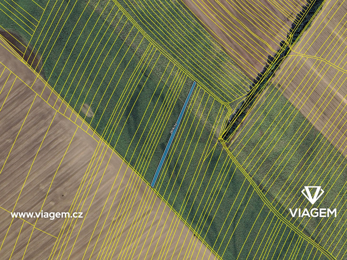 Prodej pole 1 155 m² – fotografie 4