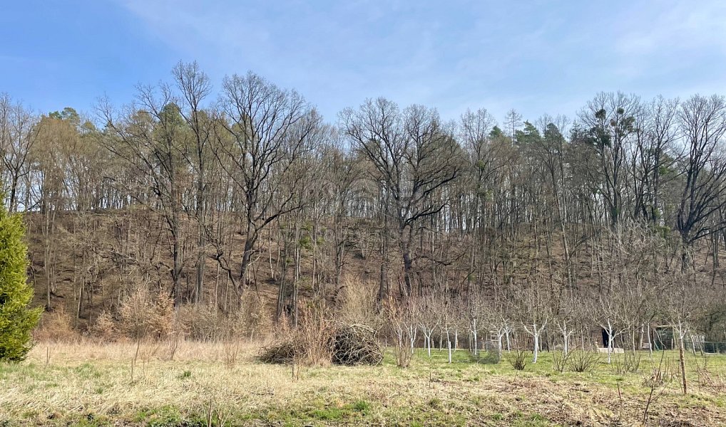 Prodej stavebního pozemku 2 948 m², Bílovec – náhled fotky 7