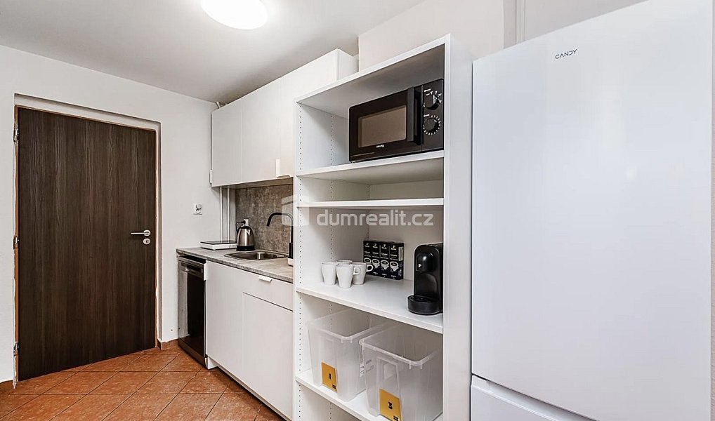 Pronájem bytu 5+kk 14 m², Praha – náhled fotky 5