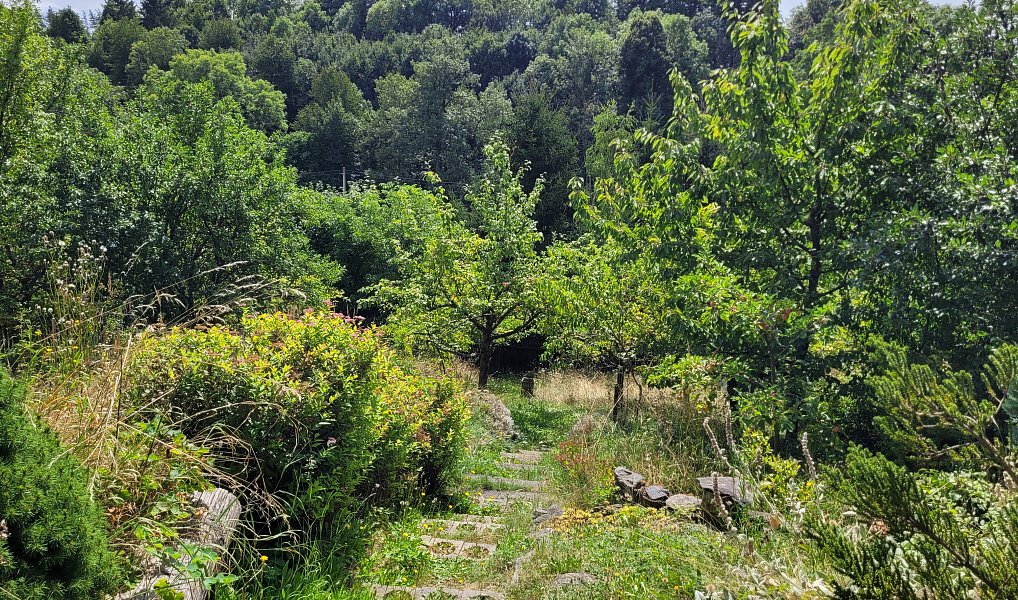 Prodej chaty/chalupy 78 m², Kamenná Horka – náhled fotky 5