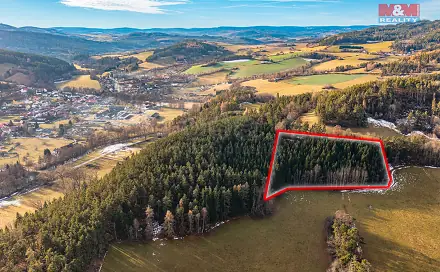 Prodej lesa 13 448 m², Malenice, okres Strakonice