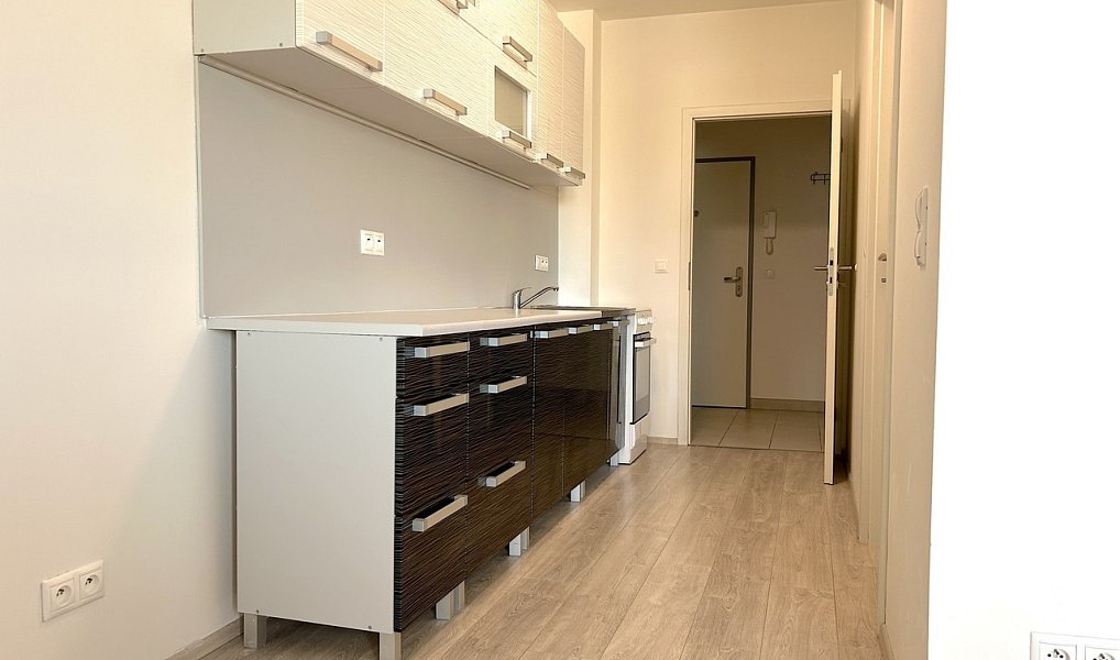 Pronájem bytu 2+kk 47 m², Zbůch – náhled fotky 11