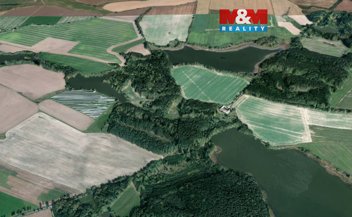 Prodej lesa 6 834 m²