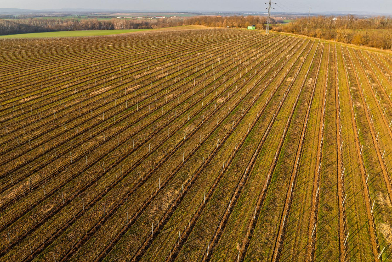 Prodej pole 243 931 m² – fotografie 5