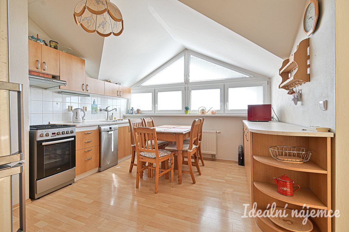 Pronájem bytu 3+1 67 m²
