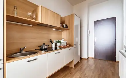 Pronájem bytu 1+1 37 m²