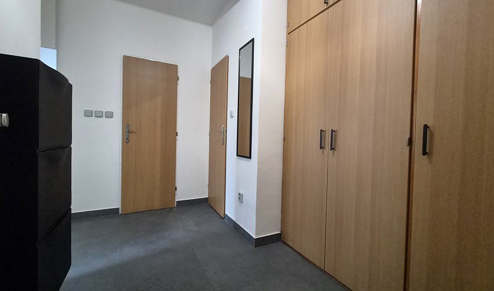 Pronájem bytu 2+1 58 m², Brno – náhled fotky 9