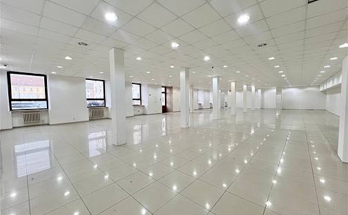 Pronájem restaurace 200 m², Václavská, Brno - Staré Brno