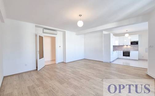 Pronájem bytu 3+kk 141 m², Vodičkova, Praha 1 - Nové Město