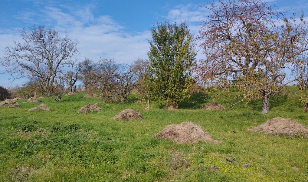 Prodej stavebního pozemku 4 411 m², Holubice – náhled fotky 2