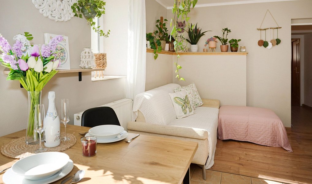 Prodej domu 55 m² s pozemkem 478 m², Doudleby – náhled fotky 8