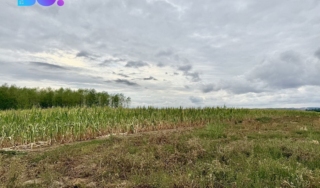 Prodej stavebního pozemku 1 949 m², Pucov – náhled fotky 4