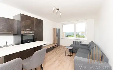 Pronájem bytu 2+kk 41 m²