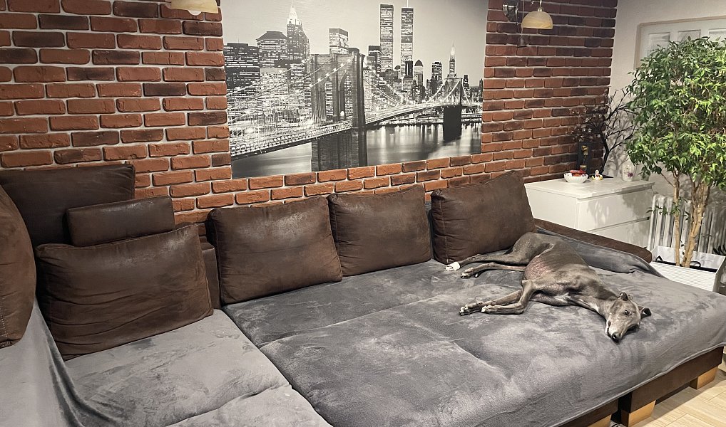 Prodej domu 50 m² s pozemkem 240 m², Napajedla – náhled fotky 15