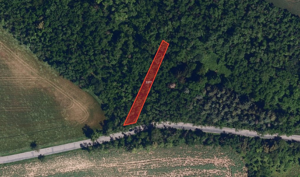 Prodej pole 12 121 m², Ořechov – náhled fotky 4