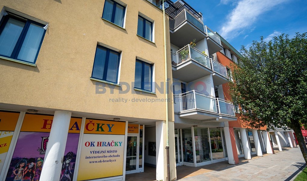 Prodej bytu 2+1 53 m², Písek – náhled fotky 12