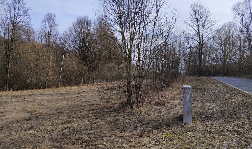 Prodej stavebního pozemku 1 920 m², Dolní Moravice – náhled fotky 5