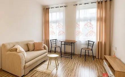 Pronájem bytu 1+kk 21 m², Palackého, Jihlava