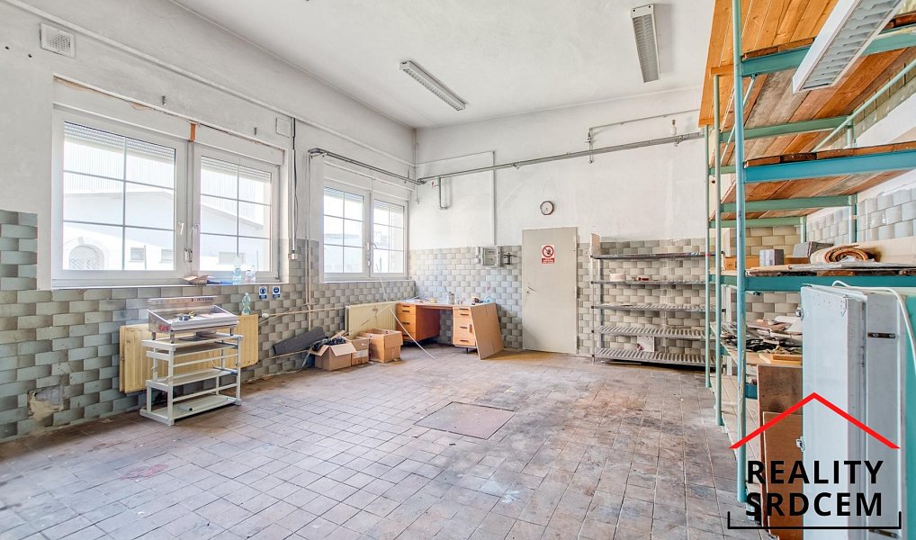 Pronájem výrobních prostor 1 566 m², Frýdek-Místek – náhled fotky 11