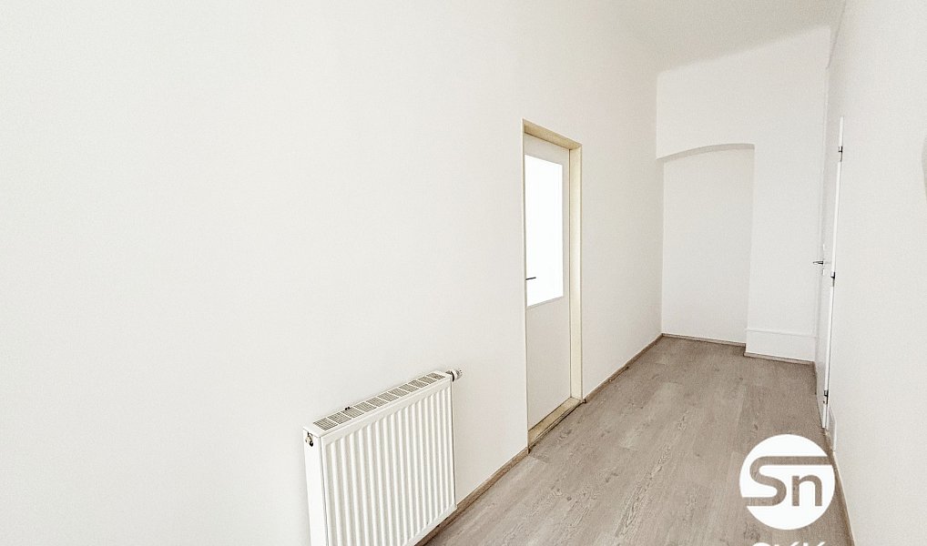 Pronájem bytu 1+1 55 m², Plzeň – náhled fotky 11