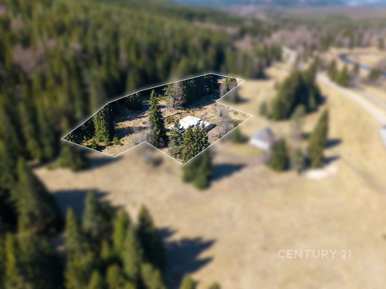 Prodej stavebního pozemku 10 137 m² – fotografie 3