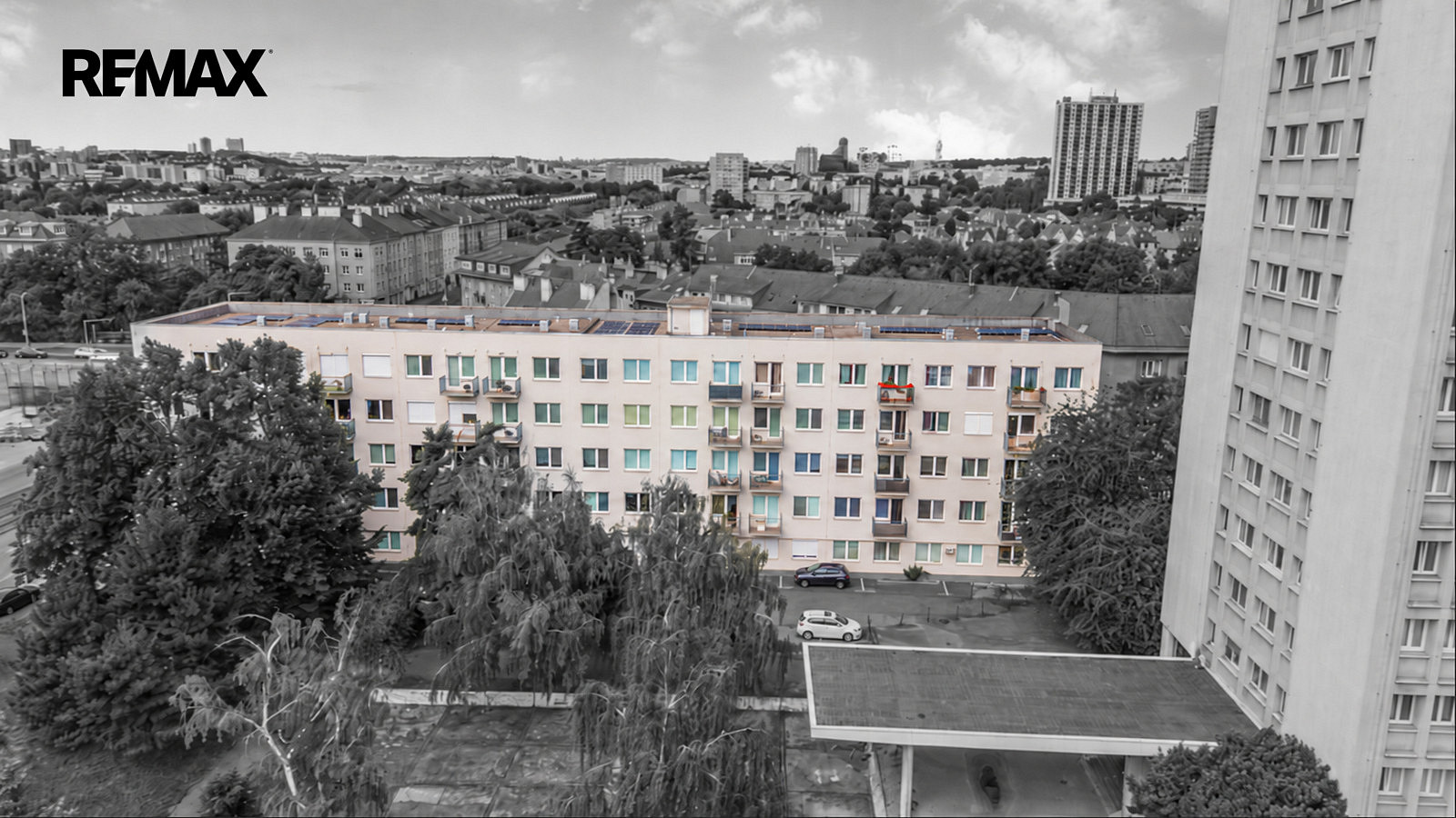 Fotka 10 z 11