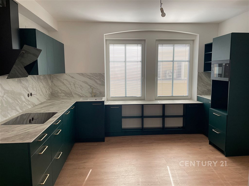 Pronájem bytu 2+1 70 m² - Widok 2