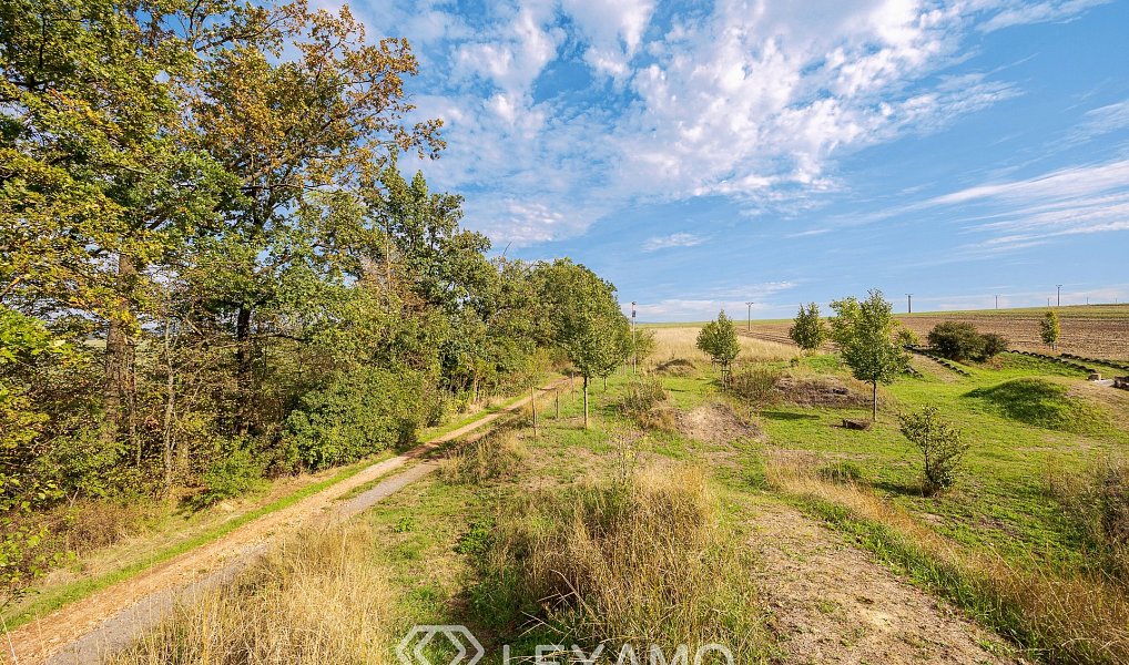 Prodej pole 5 903 m², Prace – náhled fotky 11