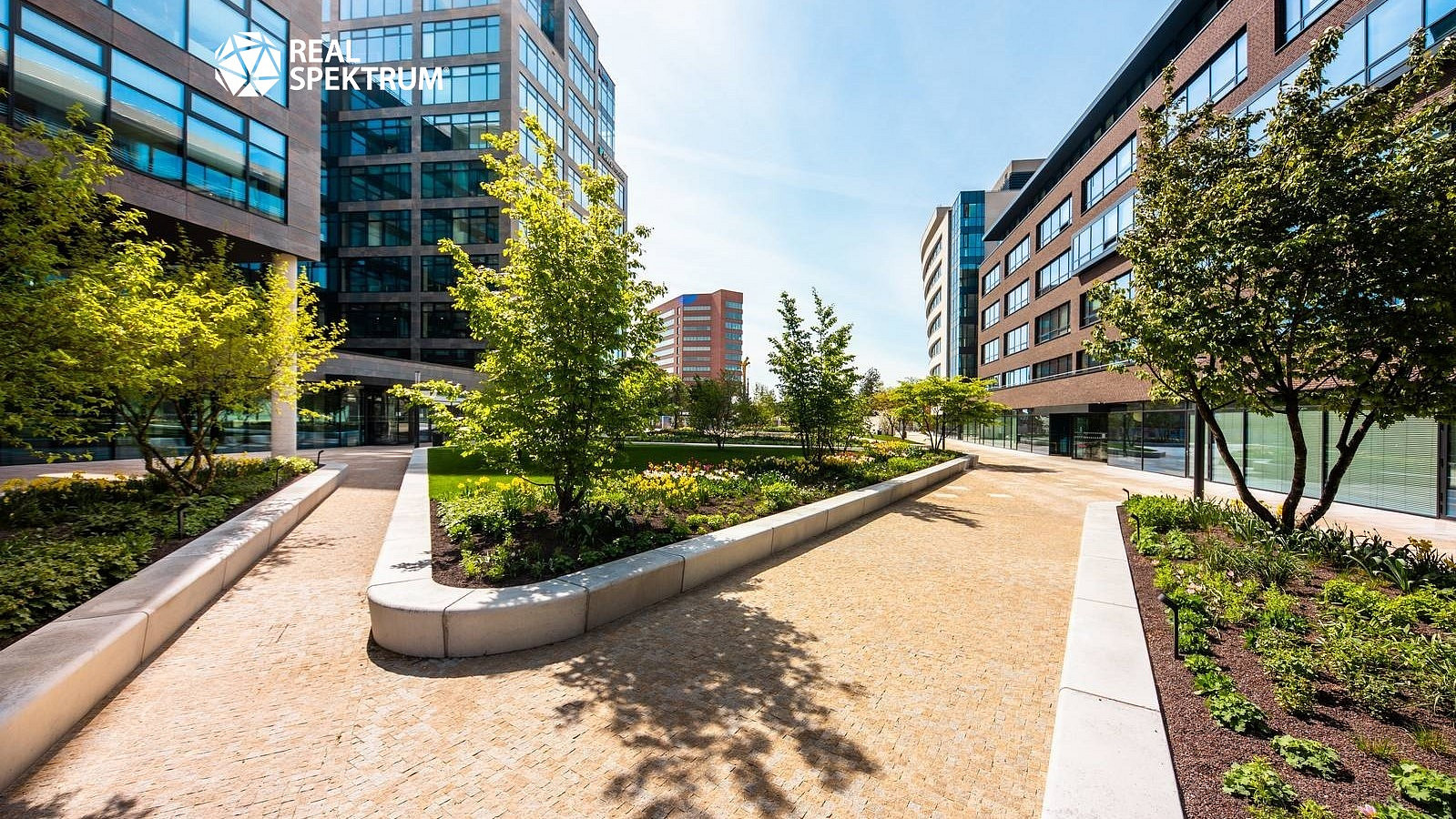Pronájem kanceláře 506 m² – fotografie 5