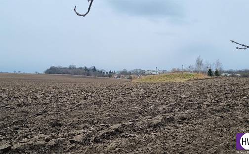 Prodej pole 14 648 m², Číčovice, okres Praha-západ