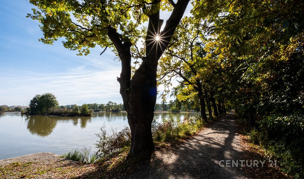 Prodej bytu 4+kk 102 m², České Budějovice – náhled fotky 26