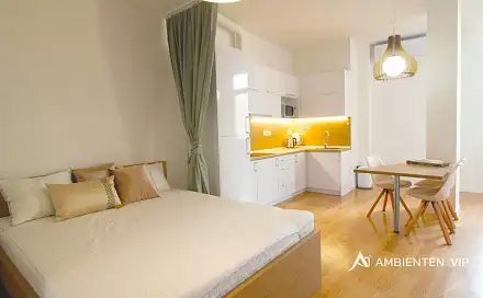 Pronájem bytu 1+kk 54 m², Kobližná, Brno - Brno-město