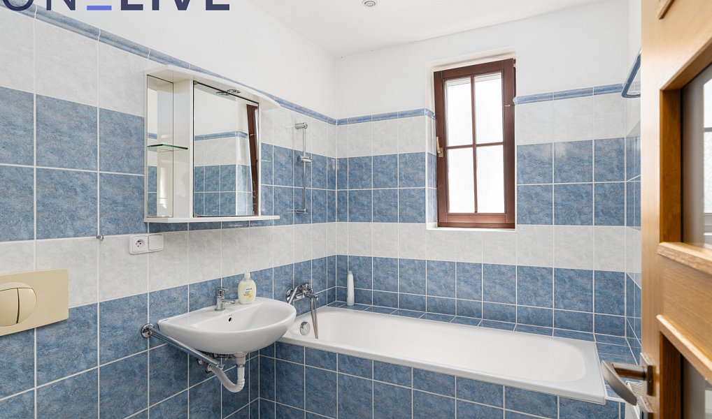 Prodej komerčního objektu (jiného typu) 450 m², Přimda – náhled fotky 12