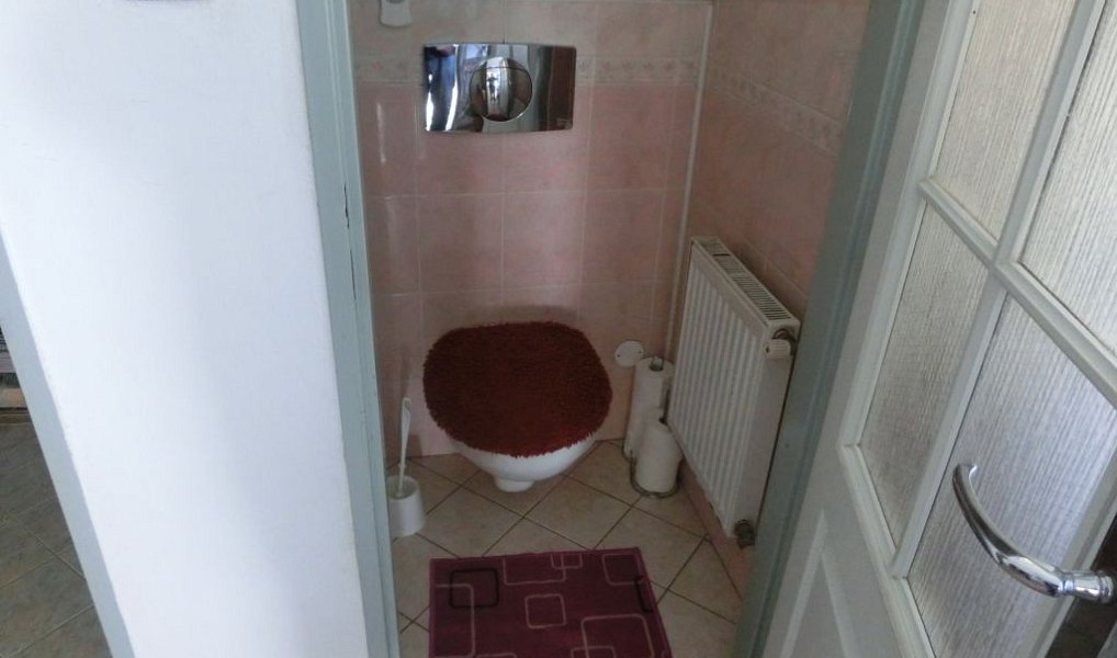Prodej domu 175 m² s pozemkem 9 863 m², Vojkovice – náhled fotky 23