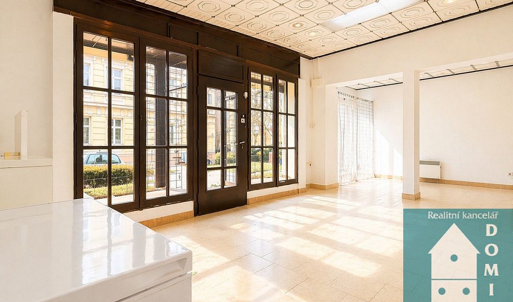 Pronájem obchodních prostor 53 m², Kojetín – náhled fotky 5