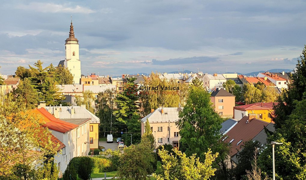 Prodej bytu 2+1 46 m², Bílovec – náhled fotky 12
