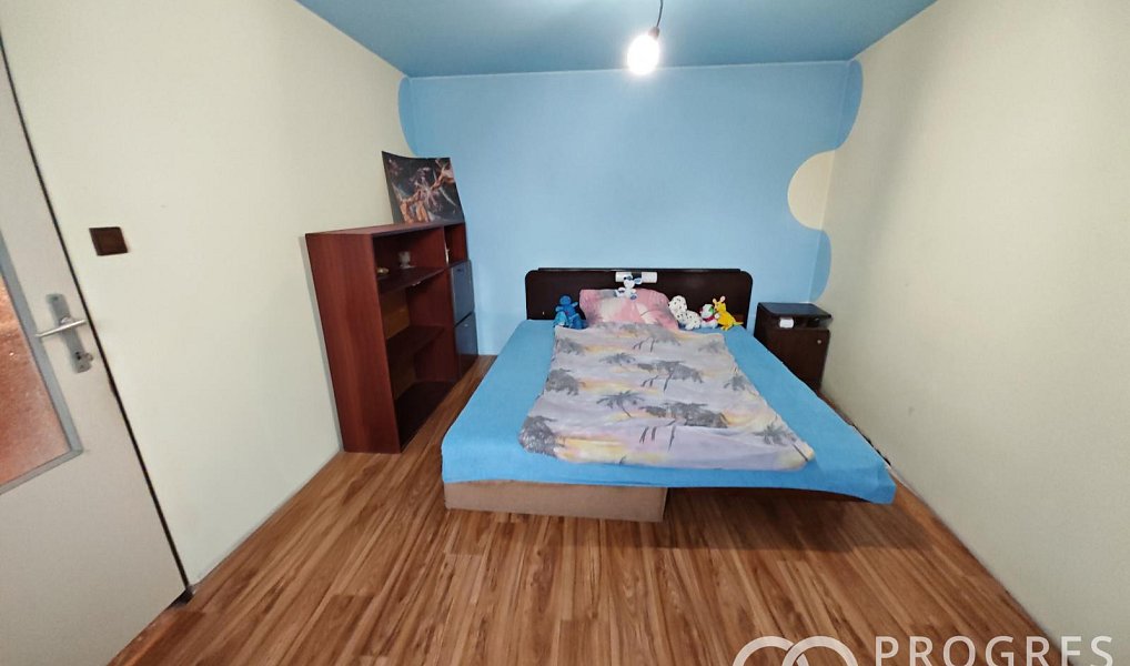 Prodej domu 160 m² s pozemkem 523 m², Rataje – náhled fotky 10