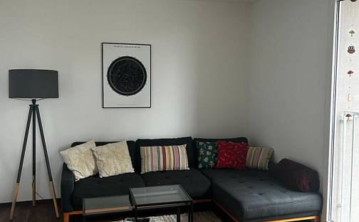 Pronájem bytu 3+1 65 m², K Hájence, Sezimovo Ústí, okres Tábor