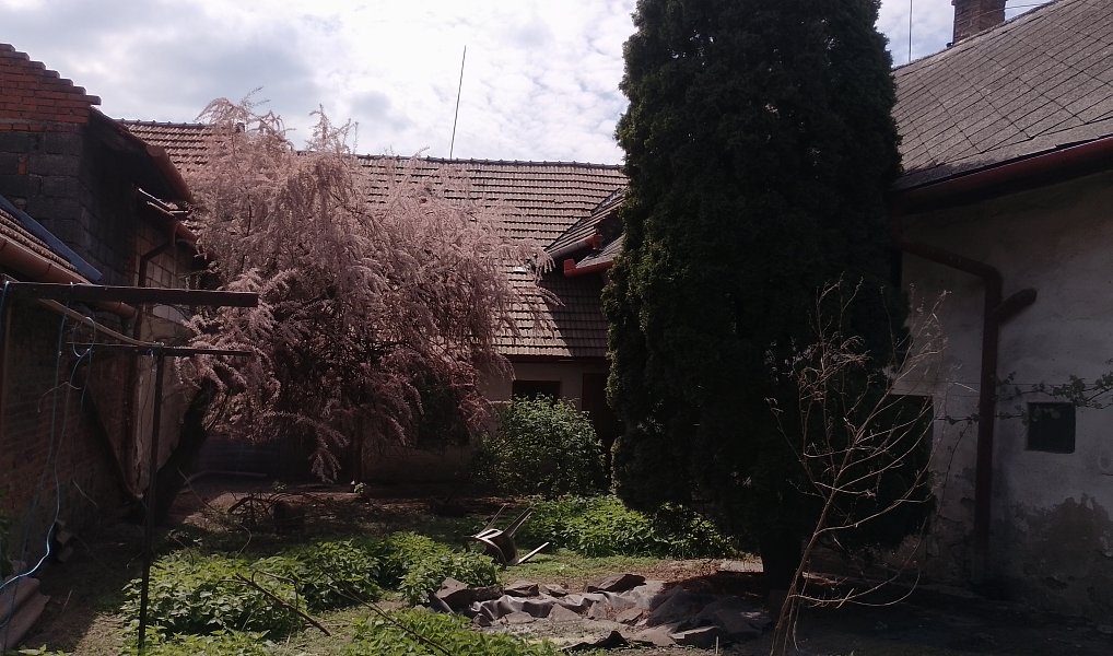 Prodej stavebního pozemku 2 114 m², Tvorovice – náhled fotky 7