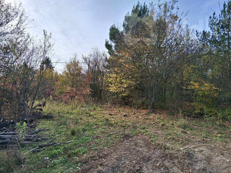 Prodej louky 9 248 m² — photo 2