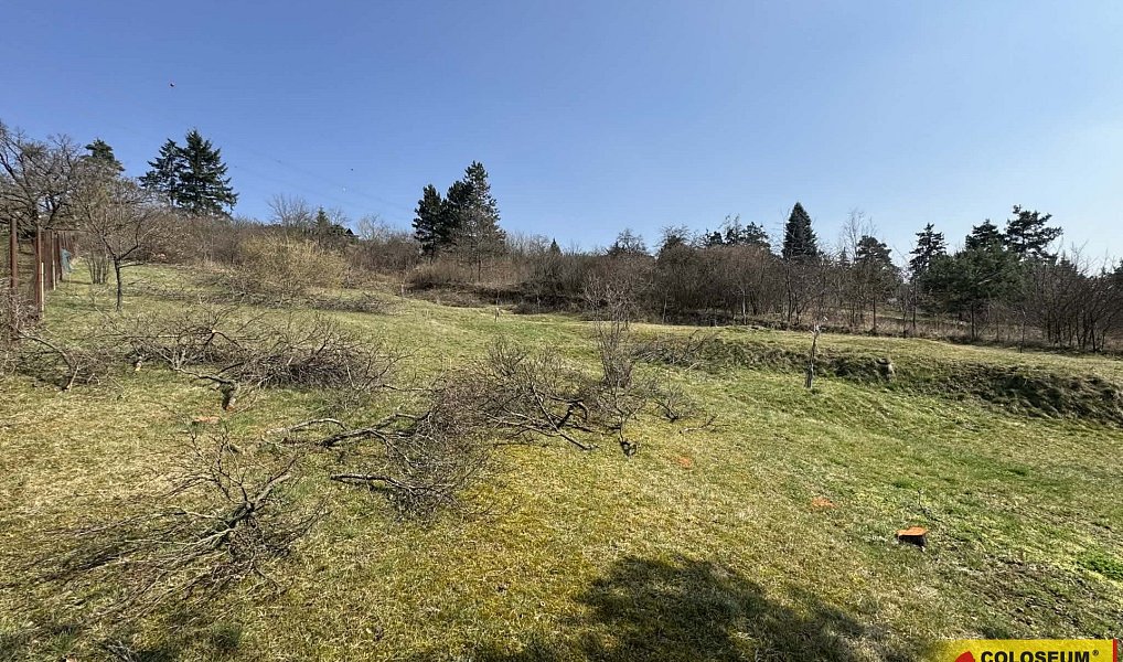 Prodej zahrady 1 750 m², Popůvky – náhled fotky 3