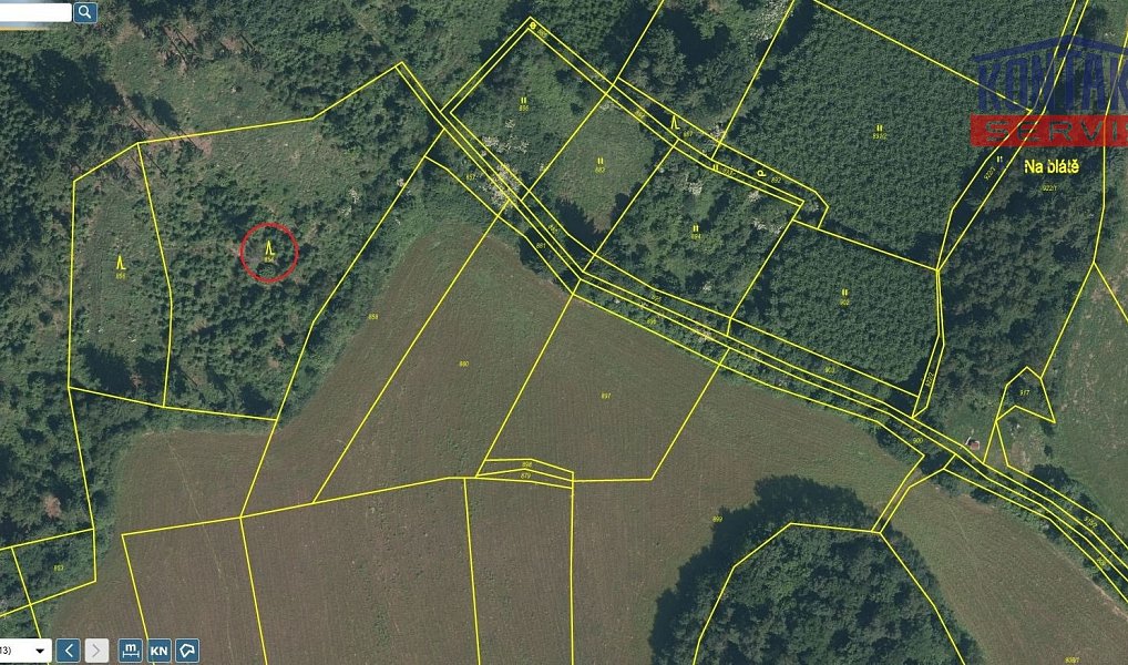 Prodej lesa 6 402 m², Oselce – náhled fotky 2