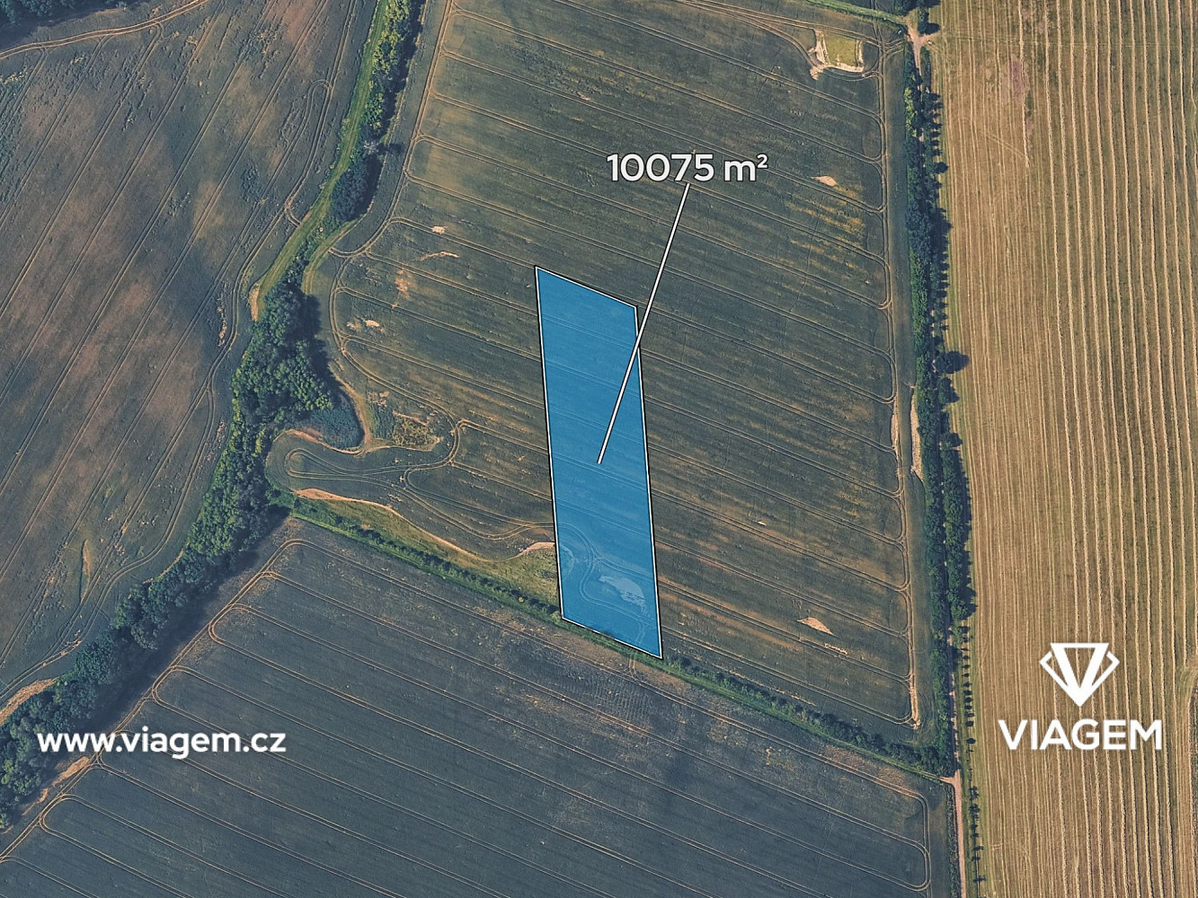 Prodej pole 5 037 m² – fotografie 2