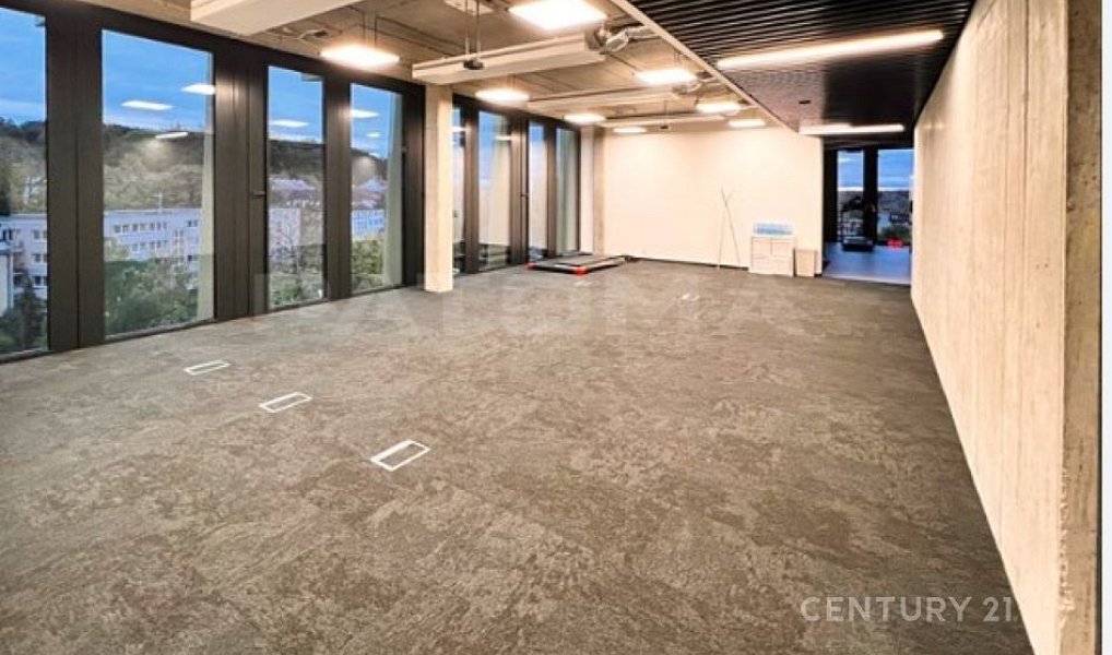 Pronájem kanceláře 518 m², Praha – náhled fotky 4