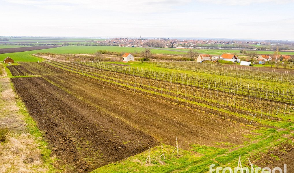 Prodej stavebního pozemku 3 646 m², Moravský Žižkov – náhled fotky 9