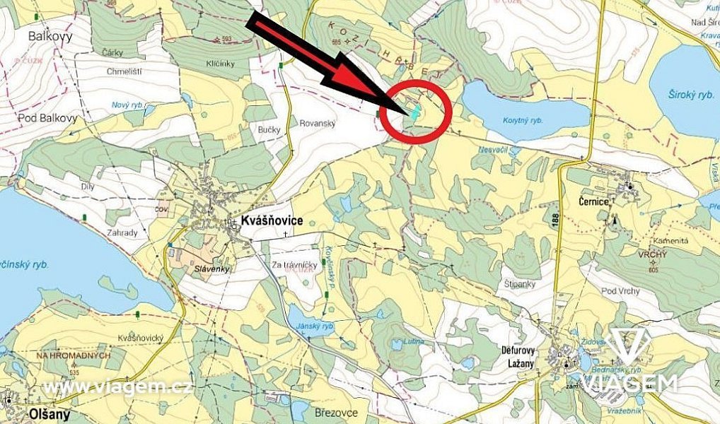 Prodej lesa 1 232 m², Chanovice – náhled fotky 4