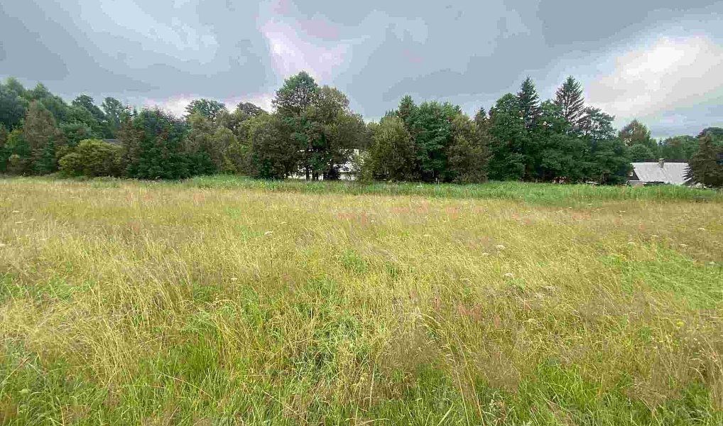 Prodej stavebního pozemku 1 500 m², Deštné v Orlických horách – náhled fotky 4