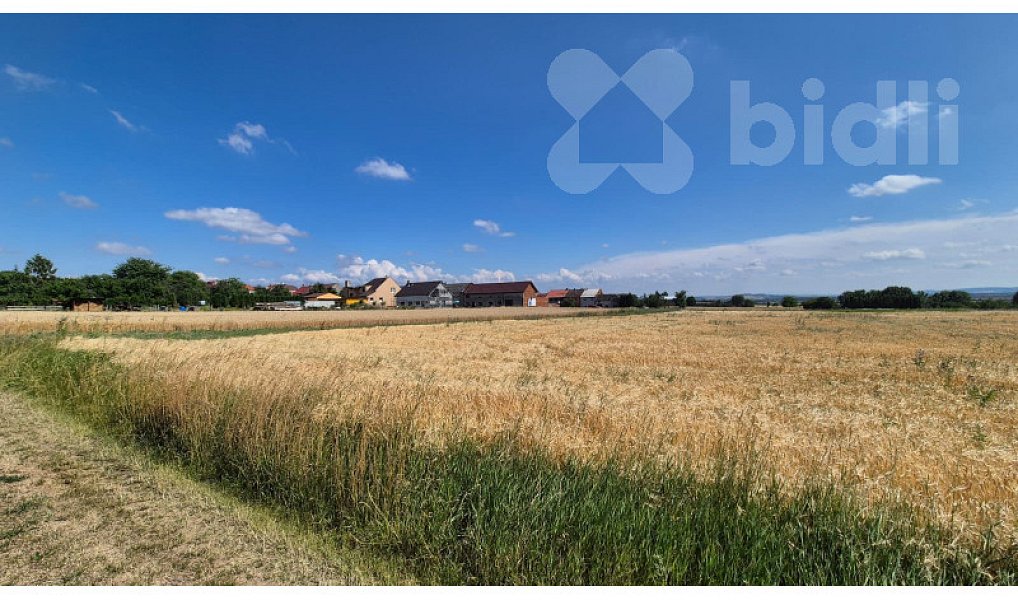 Prodej pole 773 m², Stará Ves – náhled fotky 7