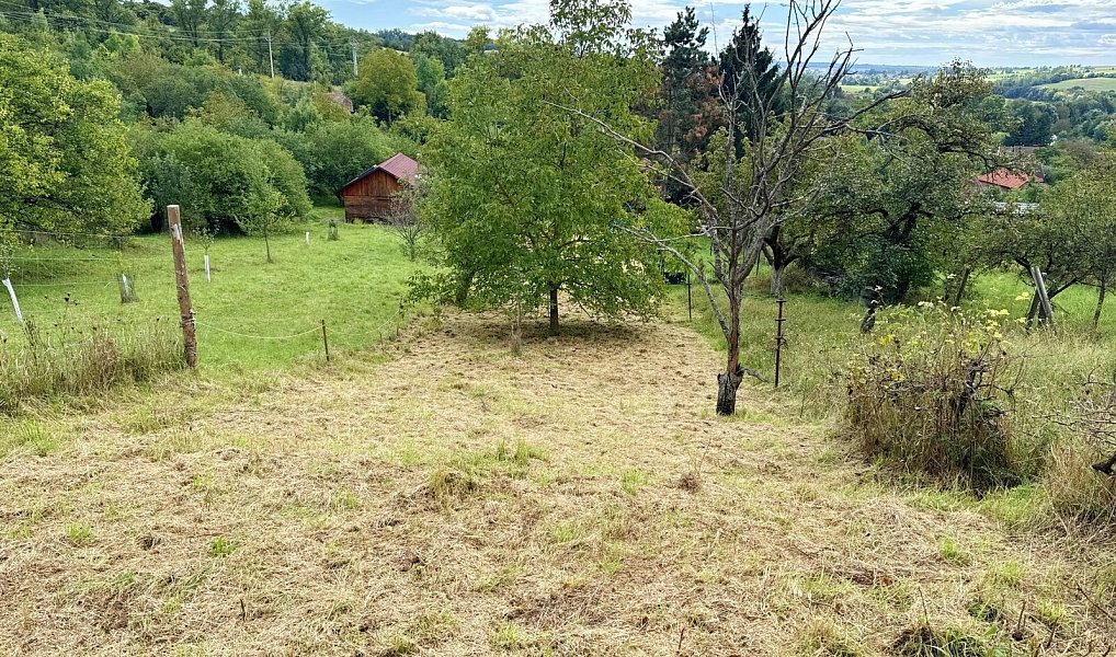 Prodej chaty/chalupy 1 140 m² s pozemkem 340 m², Kyjov – náhled fotky 9
