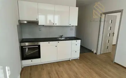 Pronájem bytu 1+1 35 m², Petra Obrovce, Louny